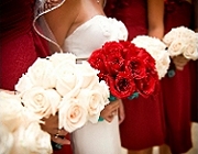 Katie and Nolan - Casa Romantica